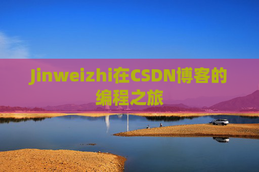 Jinweizhi在CSDN博客的编程之旅